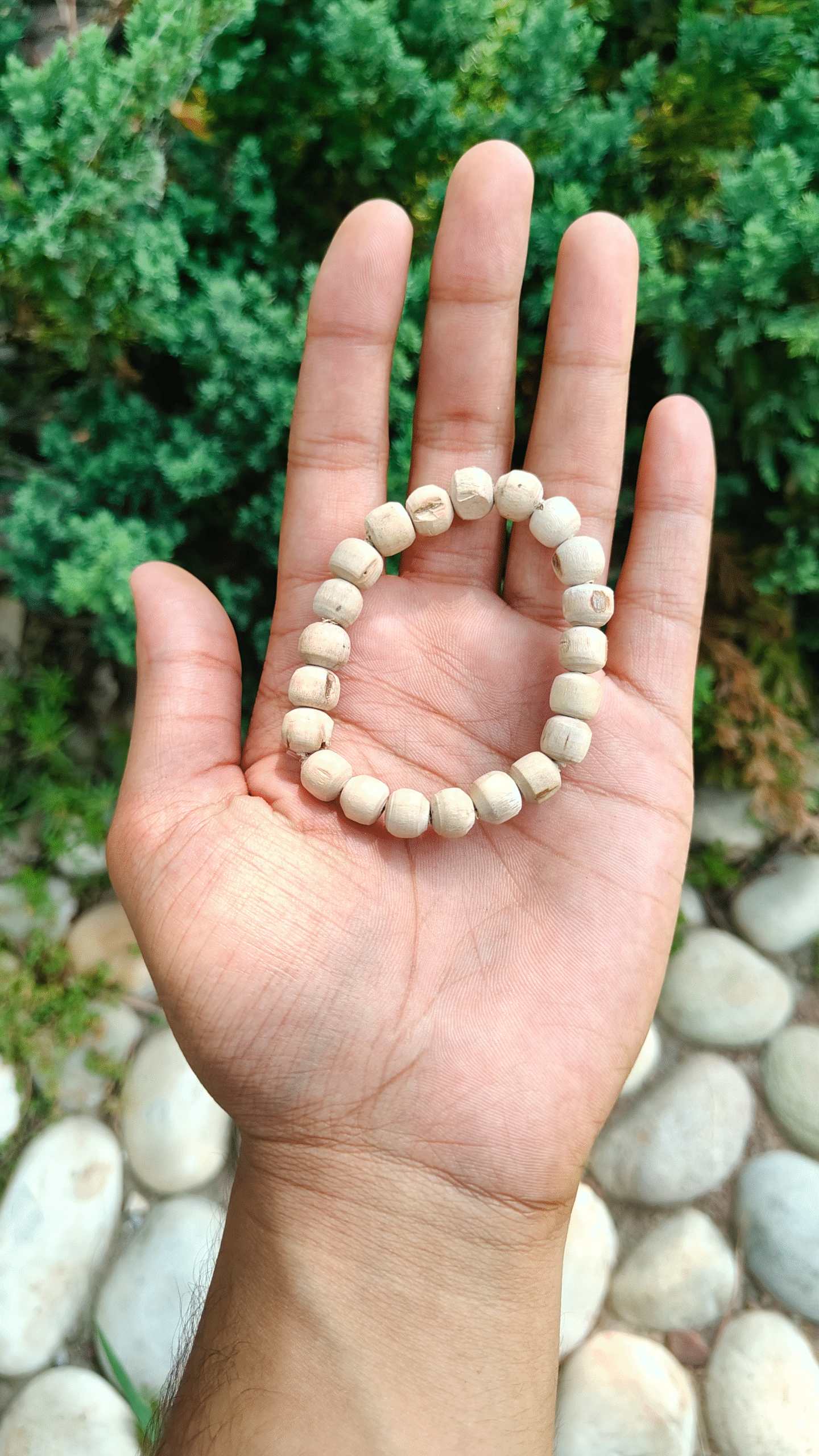 Plain Round Beads Tulsi Bracelet