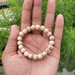 Plain Round Beads Tulsi Bracelet